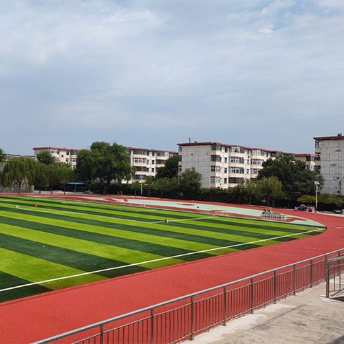 天津静海区唐官屯中学混合型跑道硅pu球场人造草坪